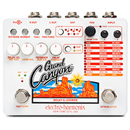 Electro Harmonix Grand Canyon Delay and Looper Pedal